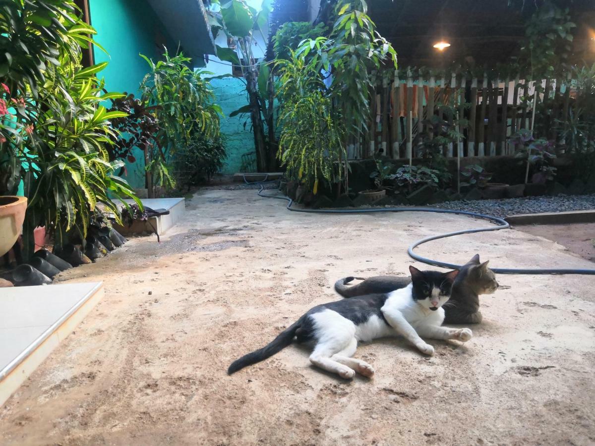Alass Ga For Pets Lovers Trincomalee Kültér fotó